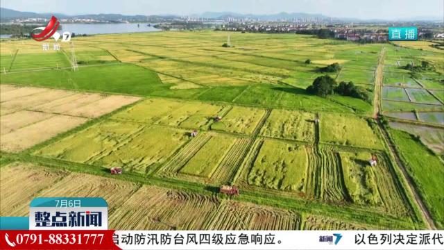 整点新闻20250706 12：00