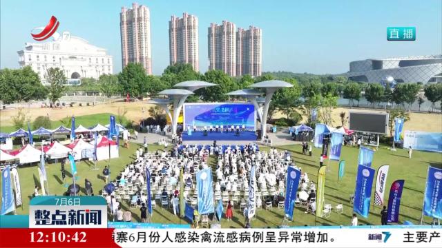 共青城市举行固定翼FPV飞行竞速挑战赛