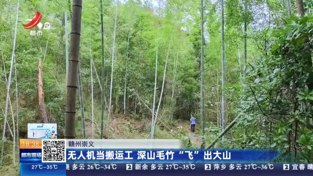赣州崇义：无人机当搬运工 深山毛竹“飞”出大山