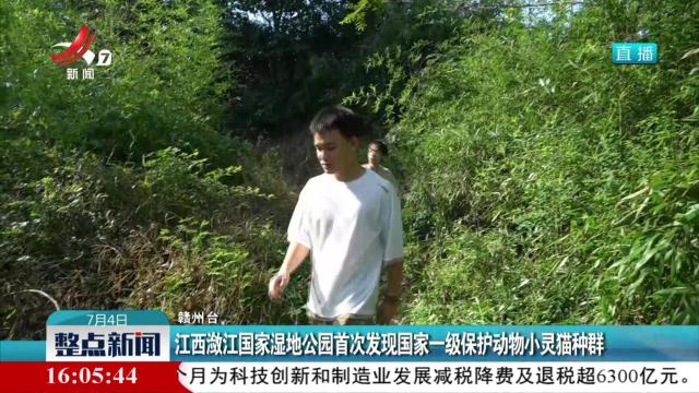 江西潋江国家湿地公园首次发现国家一级保护动物小灵猫种群