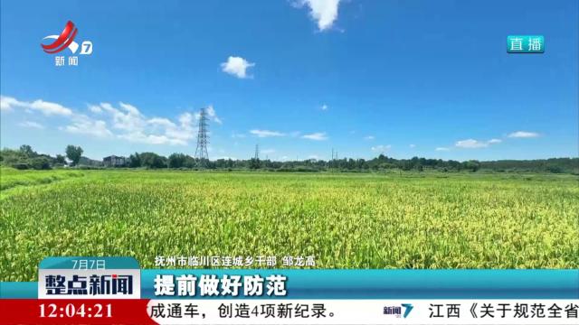 【应对台风“丹娜丝”】抚州市临川区：加固蔬菜大棚 保障农业生产安全