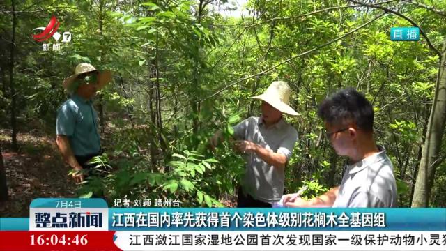 江西在国内率先获得首个染色体级别花榈木全基因组