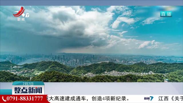 整点新闻20250707 12：00