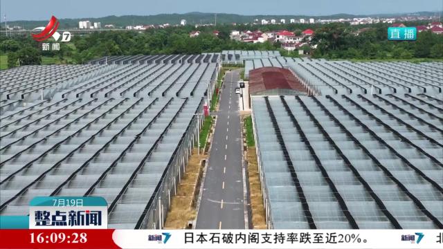 整点新闻20250719 16：00