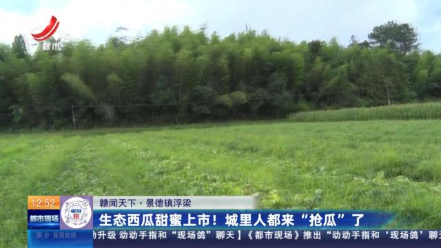 【赣闻天下】景德镇浮梁：生态西瓜甜蜜上市！ 城里人都来“抢瓜”了