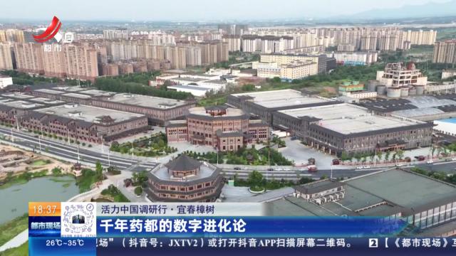 【活力中国调研行】宜春樟树：千年药都的数字进化论