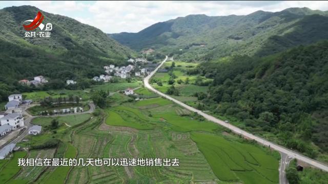 新闻晚高峰20250731