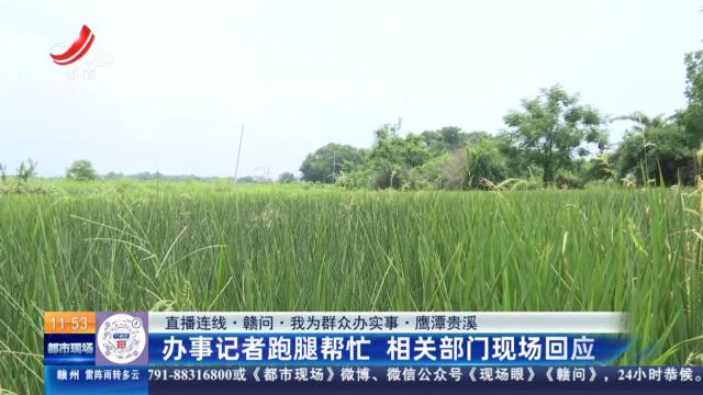 都市现场·午间版20250708