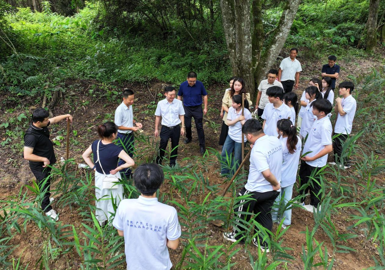 江传学子三下乡 在实践中传承农耕文化