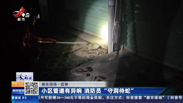 【救在现场】宜春：小区管道有异响 消防员“守洞待蛇”