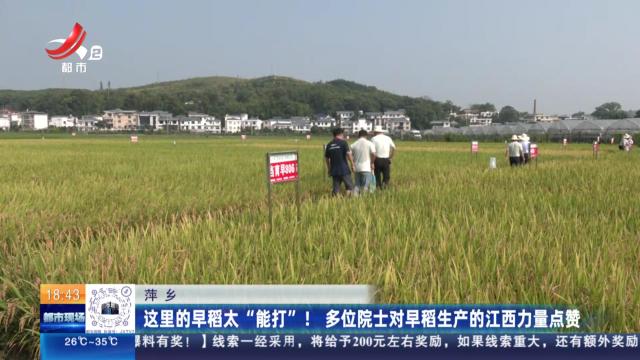 萍乡：这里的早稻太“能打”！ 多位院士对早稻生产的江西力量点赞