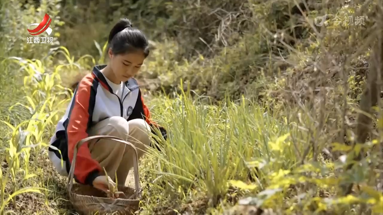 【德润赣鄱・新时代好少年】李予涵：石缝里的花也有春天