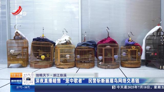 【放眼天下】浙江慈溪：深夜直播暗售“笼中歌者” 民警斩断画眉鸟网络交易链