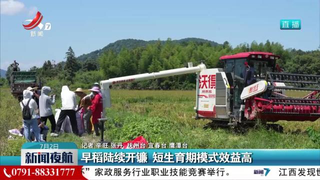 早稻陆续开镰 短生育期模式效益高