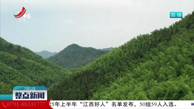 我省在全球首次破译雷竹“基因密码”