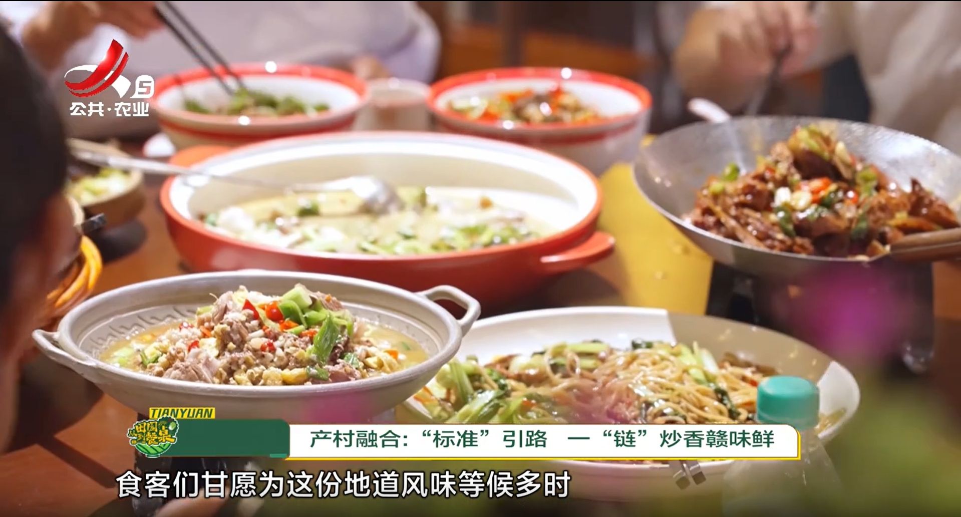 从田园到餐桌20250628
