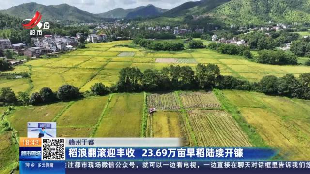 赣州于都：稻浪翻滚迎丰收 23.69万亩早稻陆续开镰