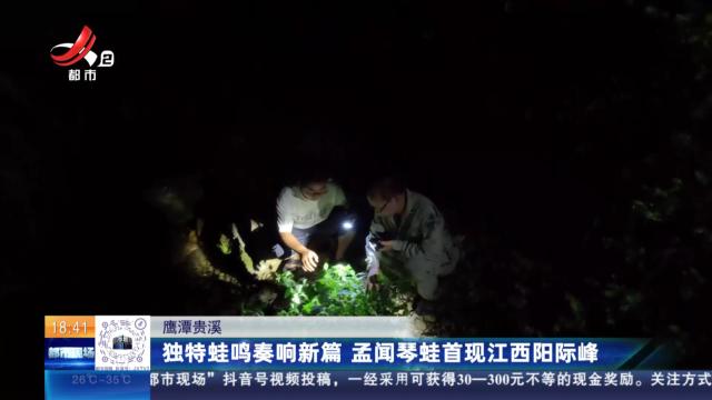鹰潭贵溪：独特蛙鸣奏响新篇 孟闻琴蛙首现江西阳际峰