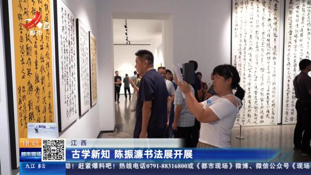 江西：古学新知 陈振濂书法展开展