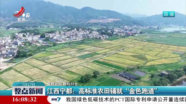 【夏粮收购 颗粒归仓】江西宁都：高标准农田铺就“金色跑道”