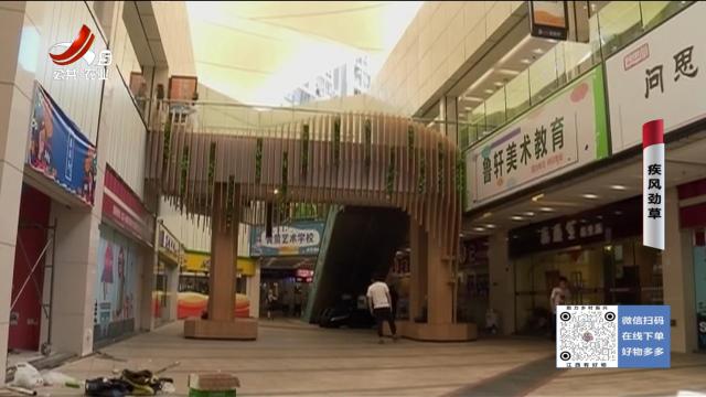 乡村栏目剧场20250707 疾风劲草