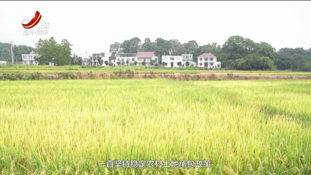 农问20250719