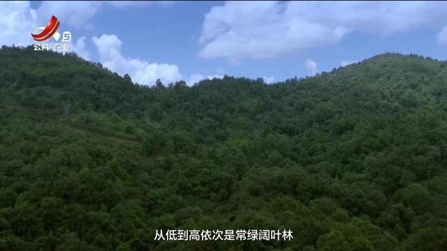 美丽江西在行动20250713 武夷山国家公园江西片区：守护绿水青山 建设美丽家园