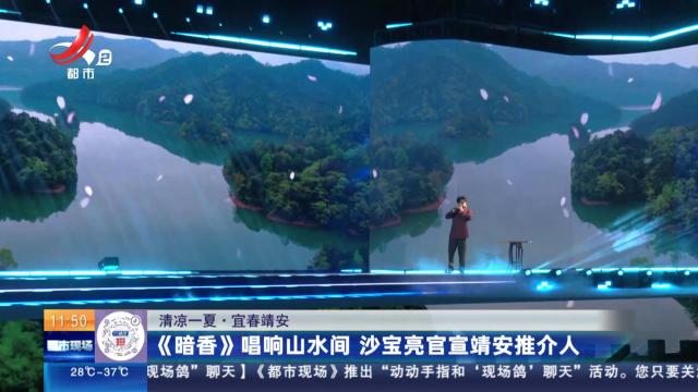 【清凉一夏】宜春靖安：《暗香》唱响山水间 沙宝亮官宣靖安推介人