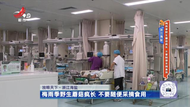 浙江海盐——梅雨季野生蘑菇疯长 不要随便采摘食用