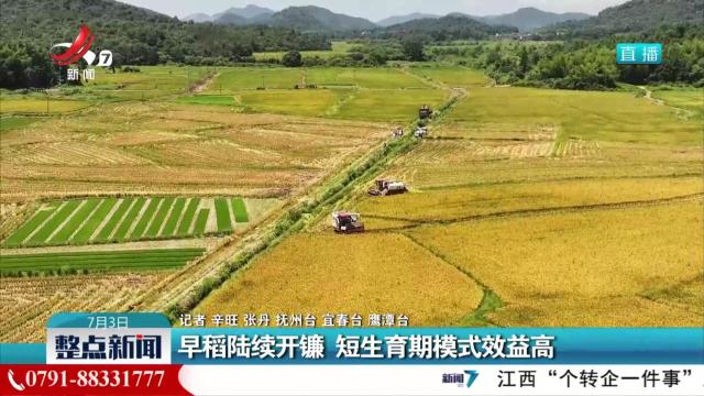 早稻陆续开镰 短生育期模式效益高