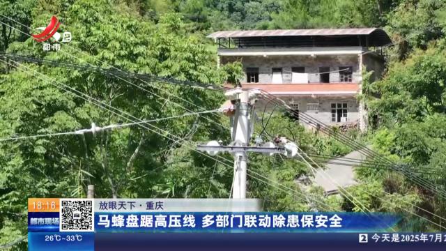 【放眼天下】重庆：马蜂盘踞高压线 多部门联动除患保平安