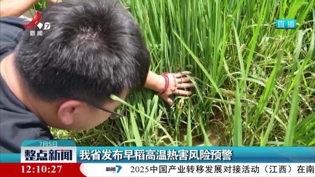 我省发布早稻高温热害风险预警