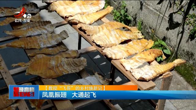 【教授“飞哥”的乡村焕新记】凤凰振翅 大通起飞