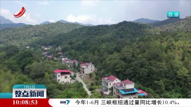 整点新闻20250701 10：00
