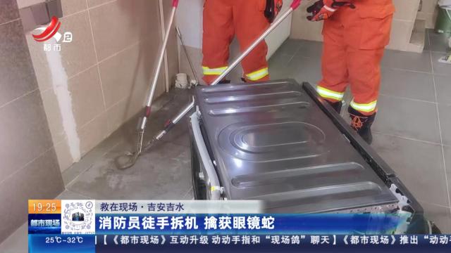 【救在现场】吉安吉水：消防员徒手拆机 擒获眼镜蛇