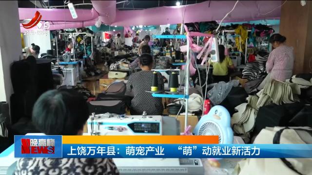 上饶万年县：萌宠产业 “萌”动就业新活力