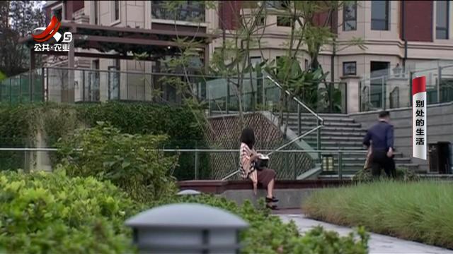 乡村栏目剧场20250630 别处的生活