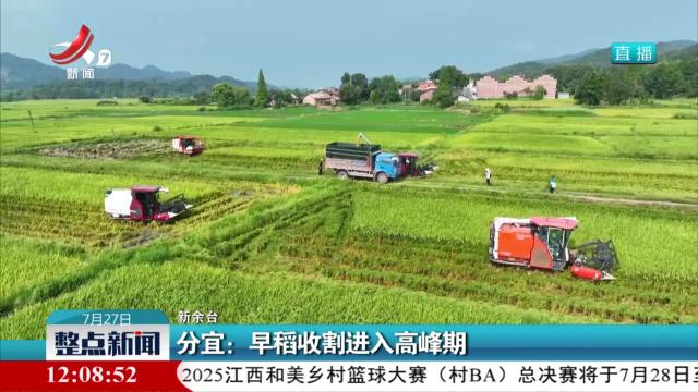 整点新闻20250727 12：00