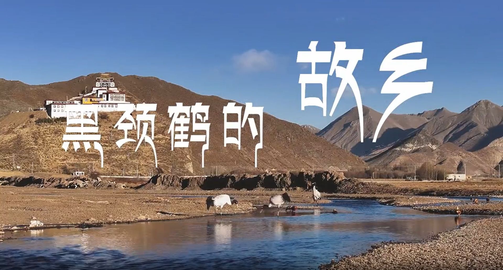 黑颈鹤的故乡