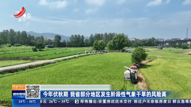 今年伏秋期 我省部分地区发生阶段性气象干旱的风险高