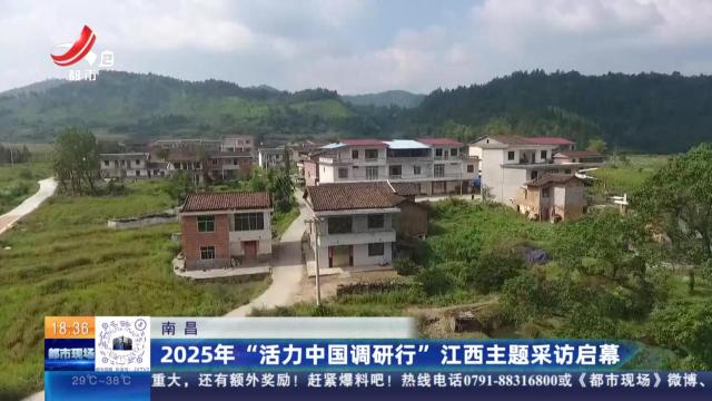 都市现场20250707