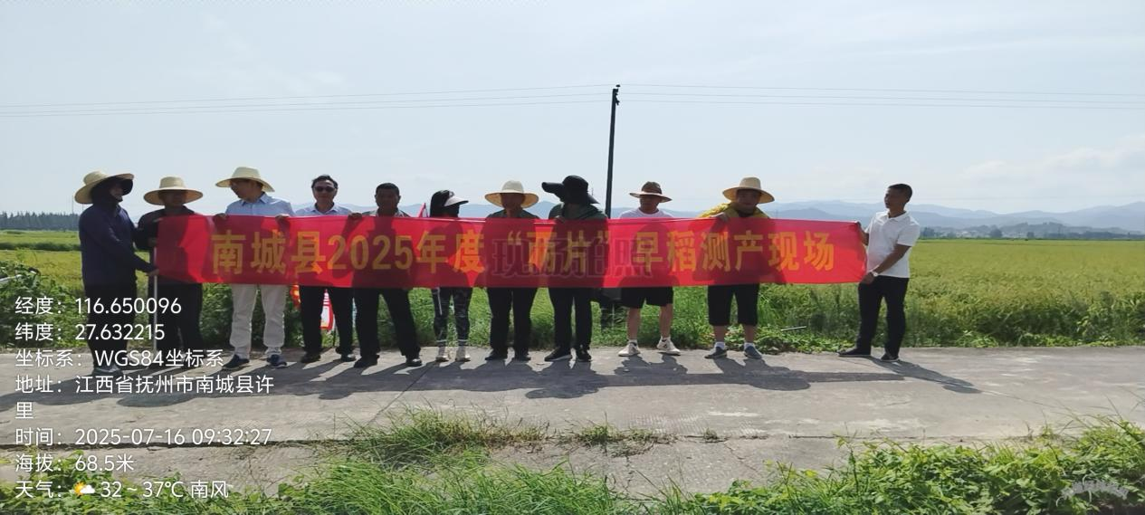 南城县水稻实收测产成绩喜人