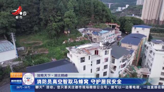 【放眼天下】湖北鹤峰：消防员高空智取马蜂窝 守护居民安全