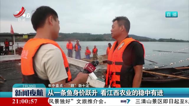 【年中盘点·“赣”劲十足】从一条鱼身价跃升 看江西农业的稳中有进