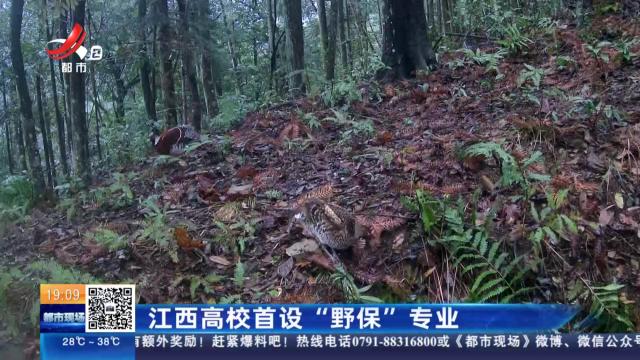 江西高校首设“野保”专业