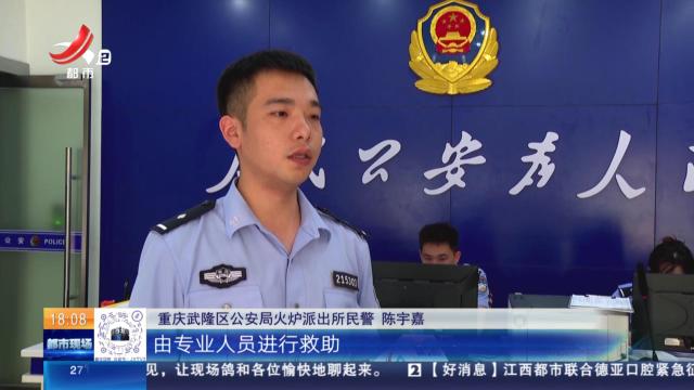 【放眼天下】重庆：猕猴落入水池 警察出手相助