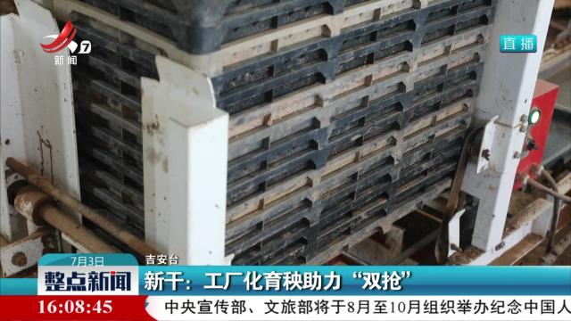新干：工厂化育秧助力“双抢”