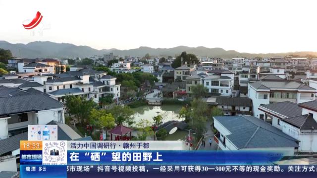 【活力中国调研行】赣州于都：在“硒”望的田野上