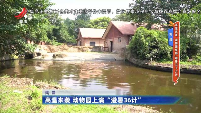 南昌——高温来袭 动物园上演“避暑36计”