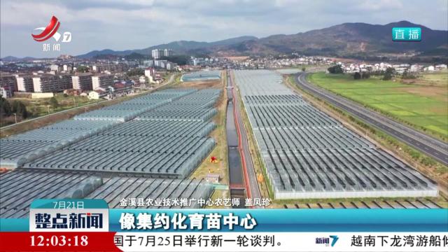 【年中盘点·“赣”劲十足】从一条鱼身价跃升 看江西农业的稳中有进